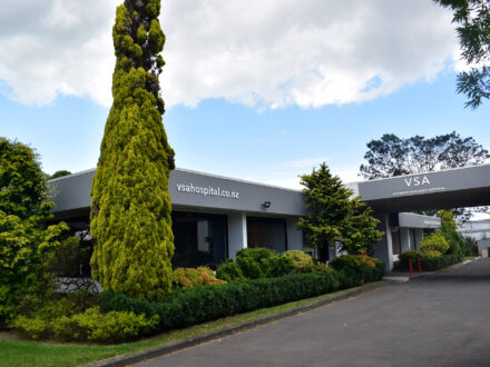 VSA (Veterinary Specialists Auckland)