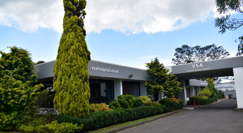 VSA (Veterinary Specialists Auckland)