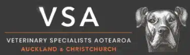 Vsa